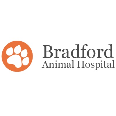 Bradford Animal Hospital